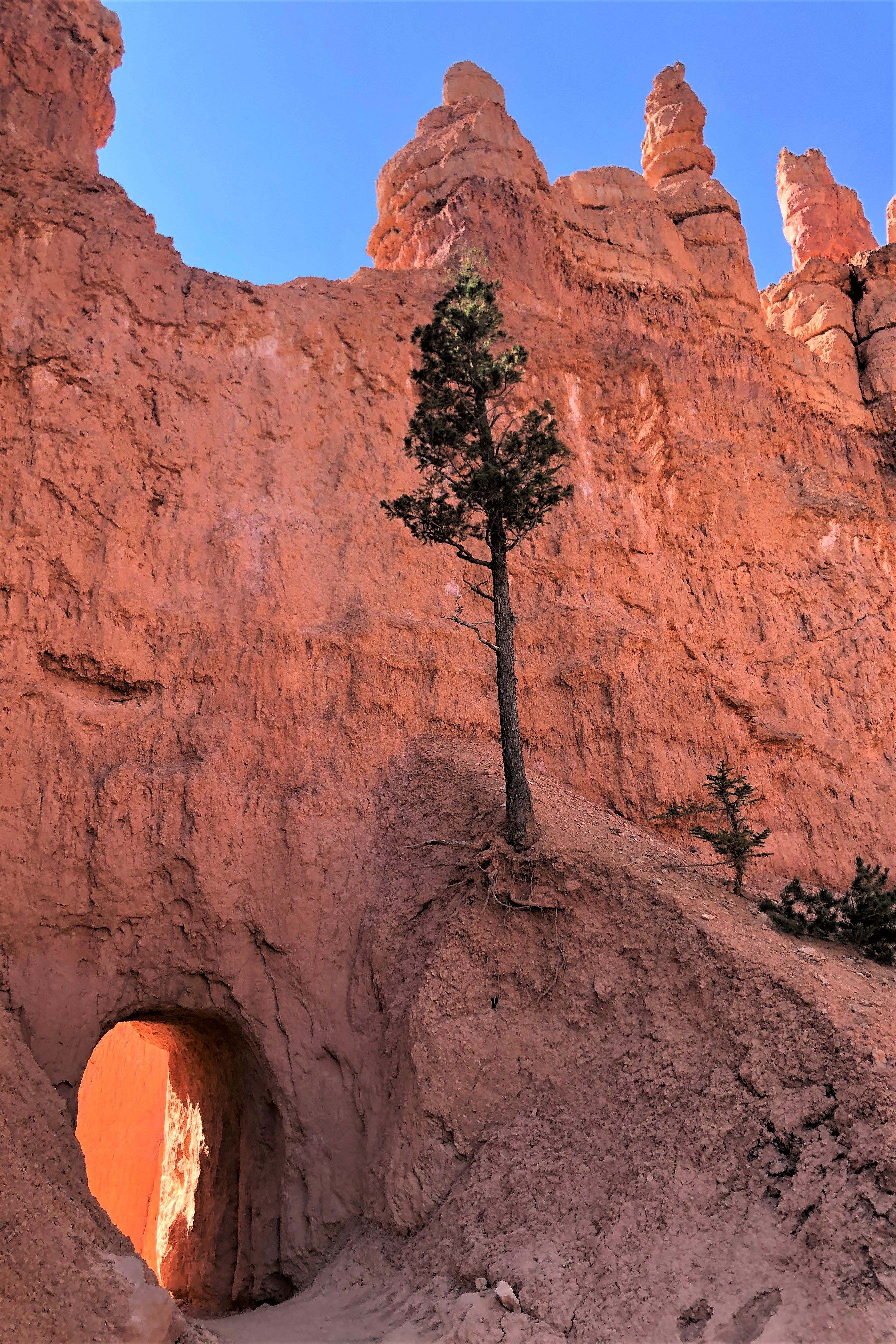 Bryce Canyon NP